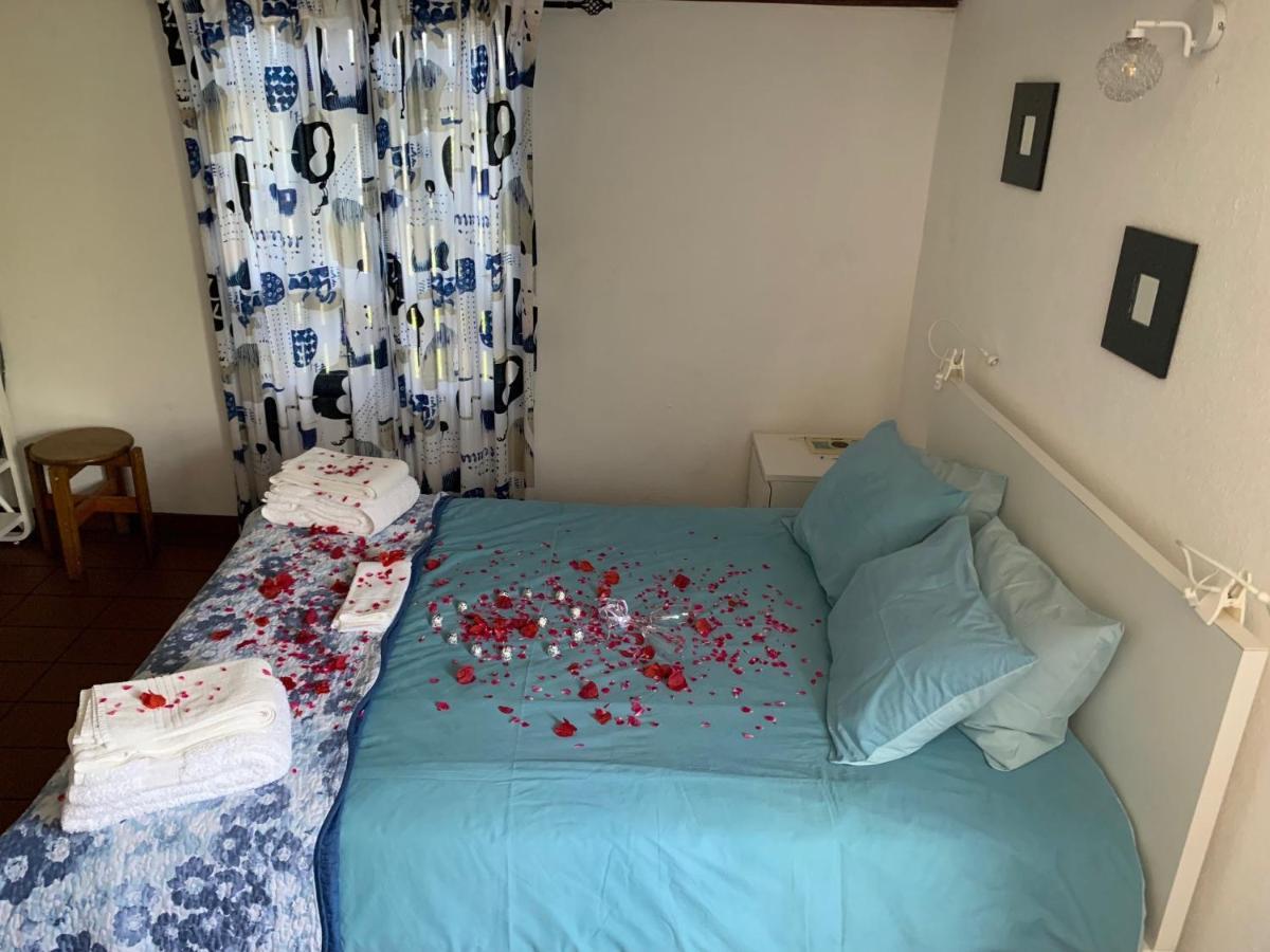 Adega Guest House أورتا المظهر الخارجي الصورة